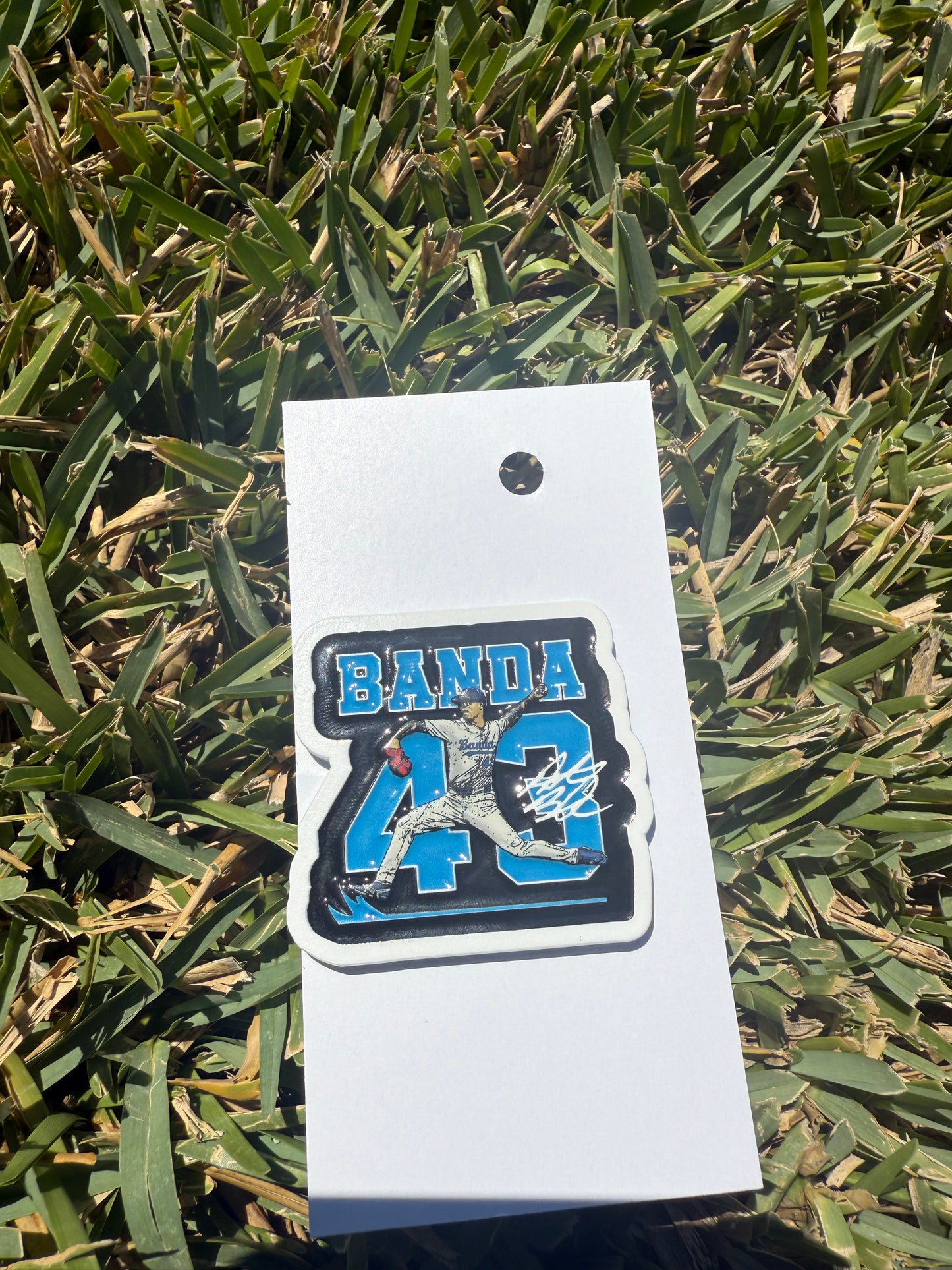 Sports Pin Collection