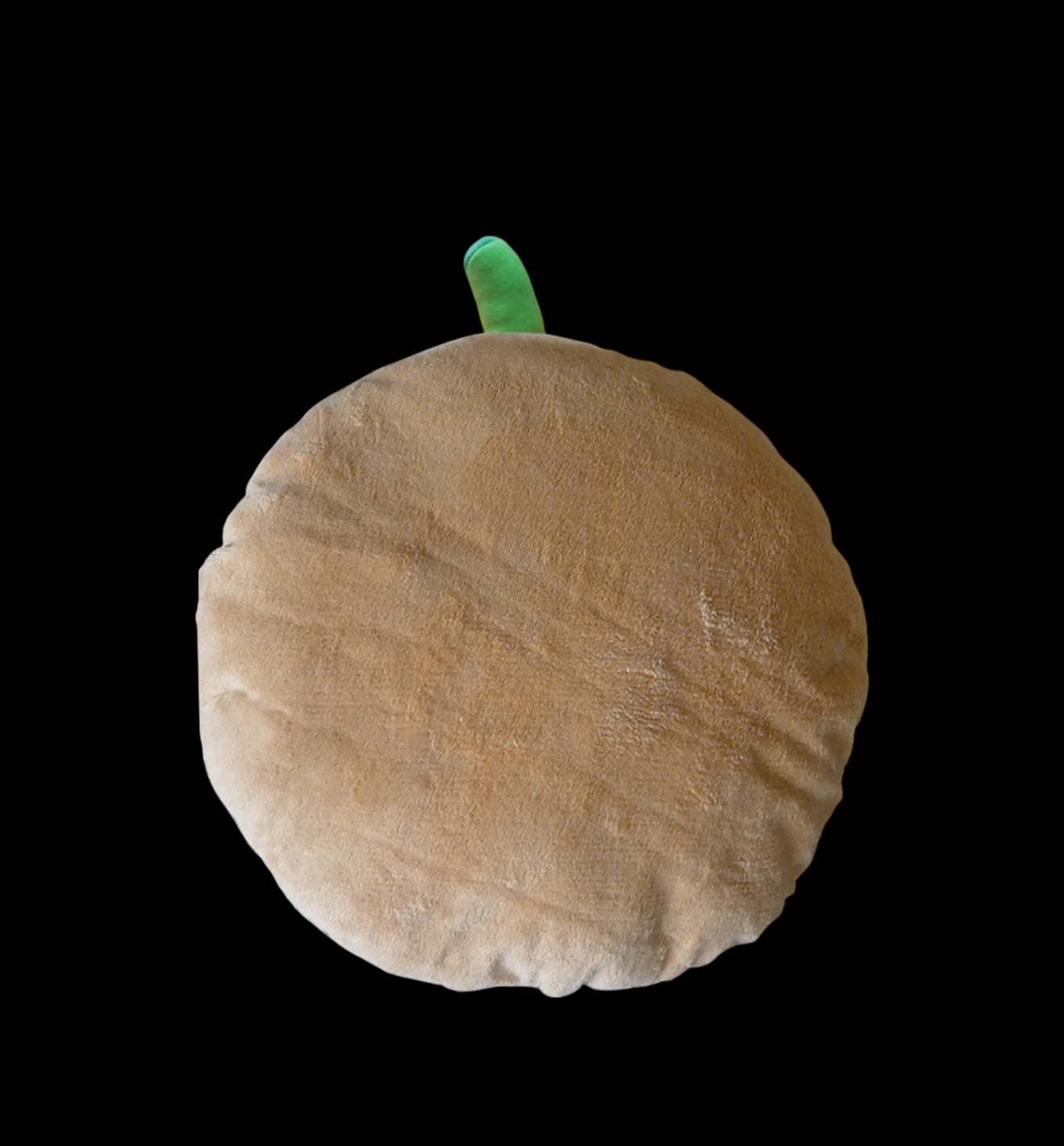 Pumpkin Concha Cushion