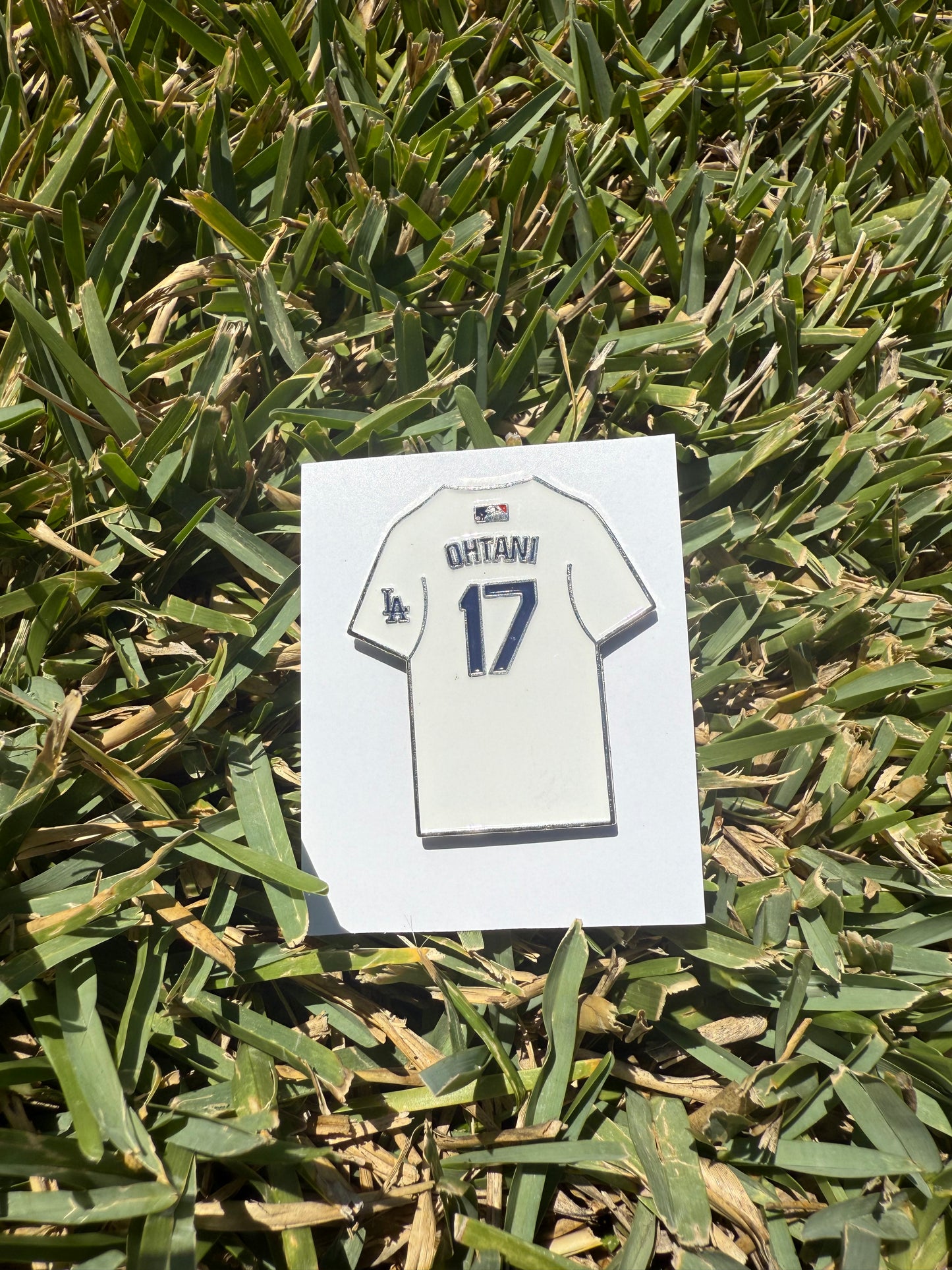 Sports Pin Collection