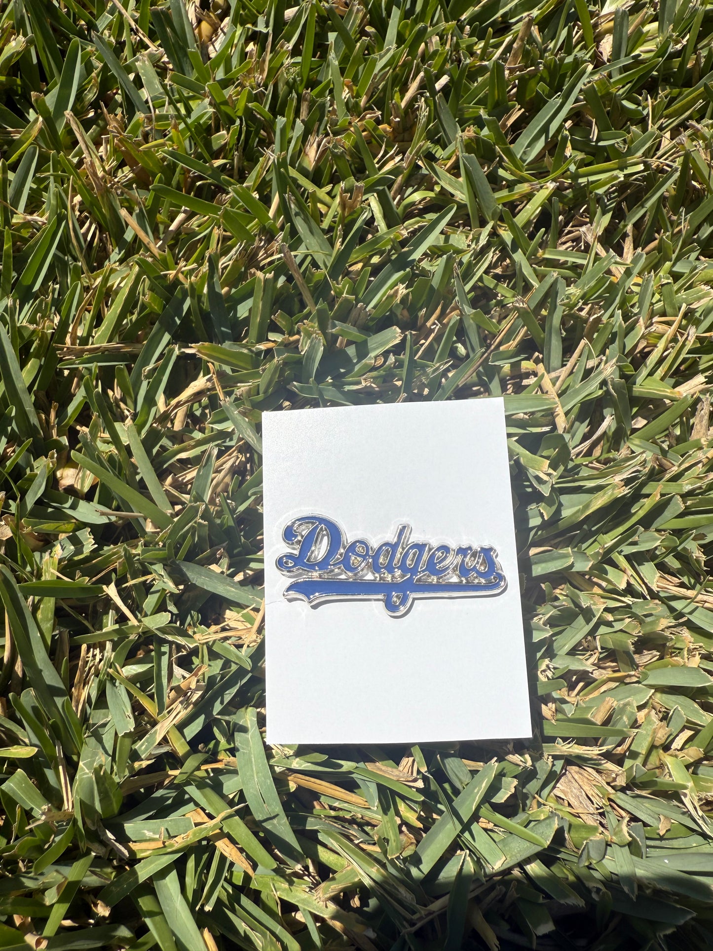 Sports Pin Collection