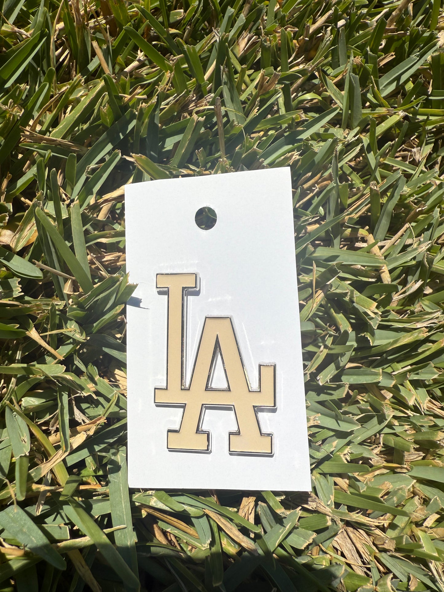 Sports Pin Collection