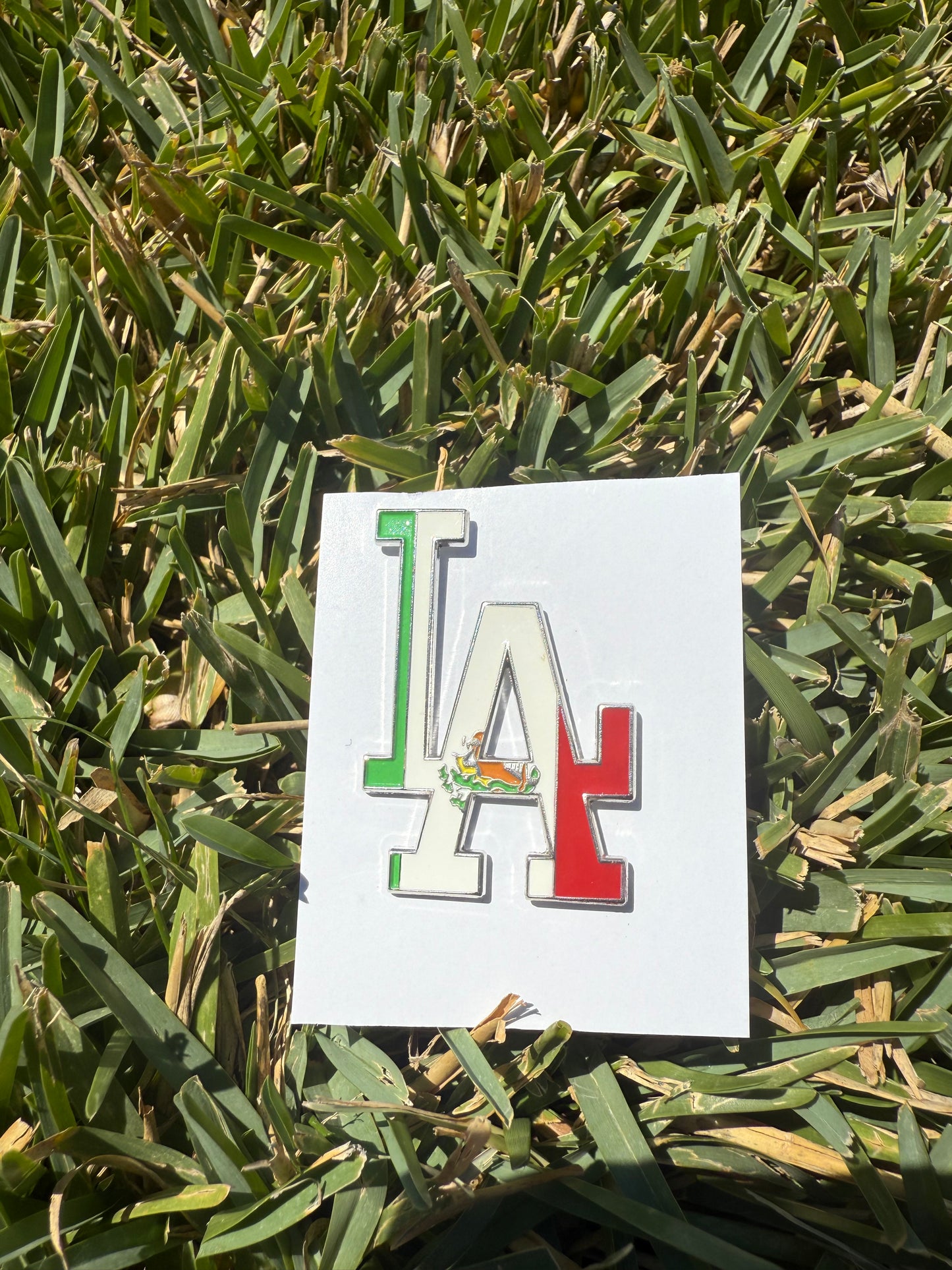 Sports Pin Collection