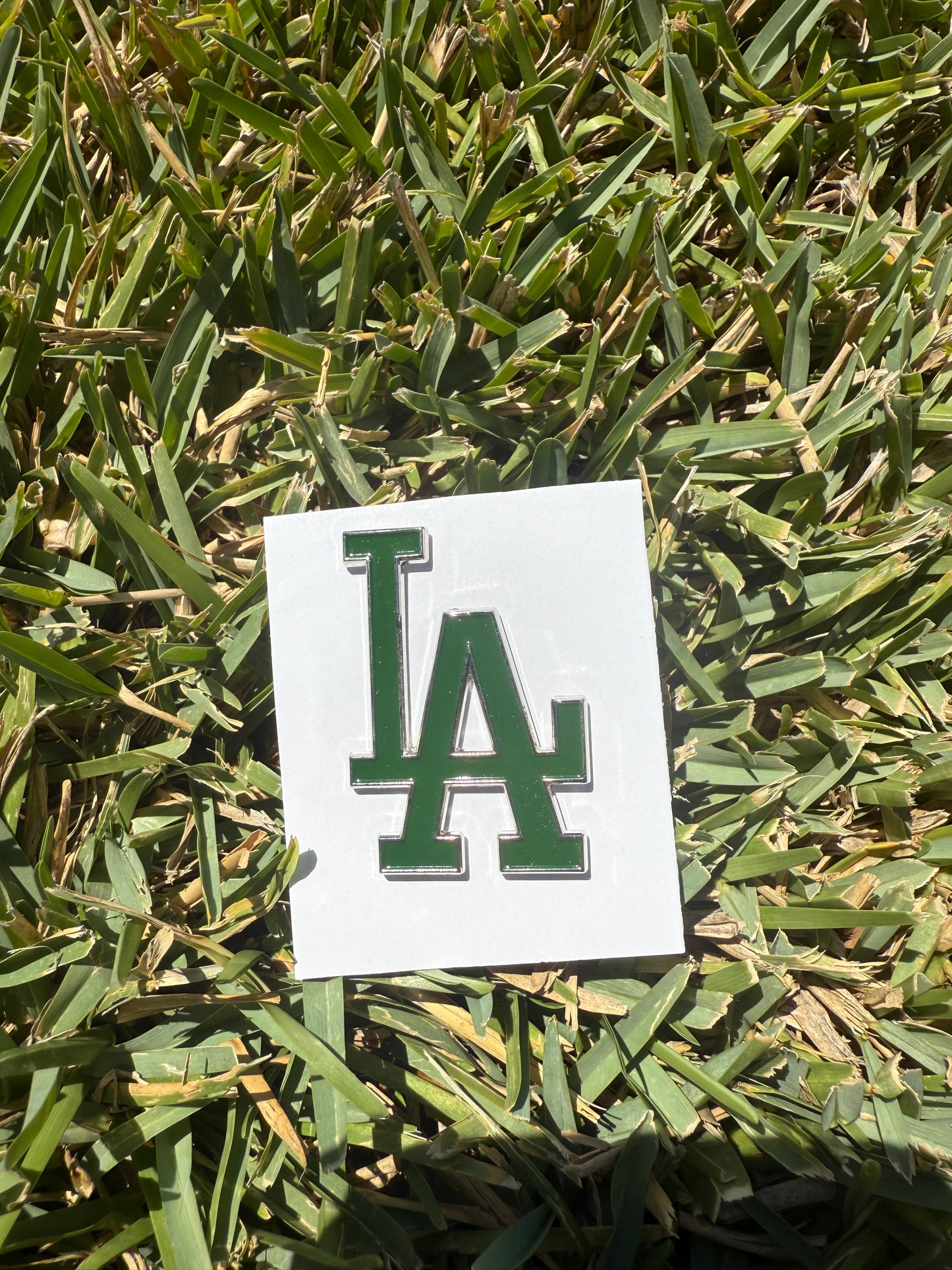 Sports Pin Collection