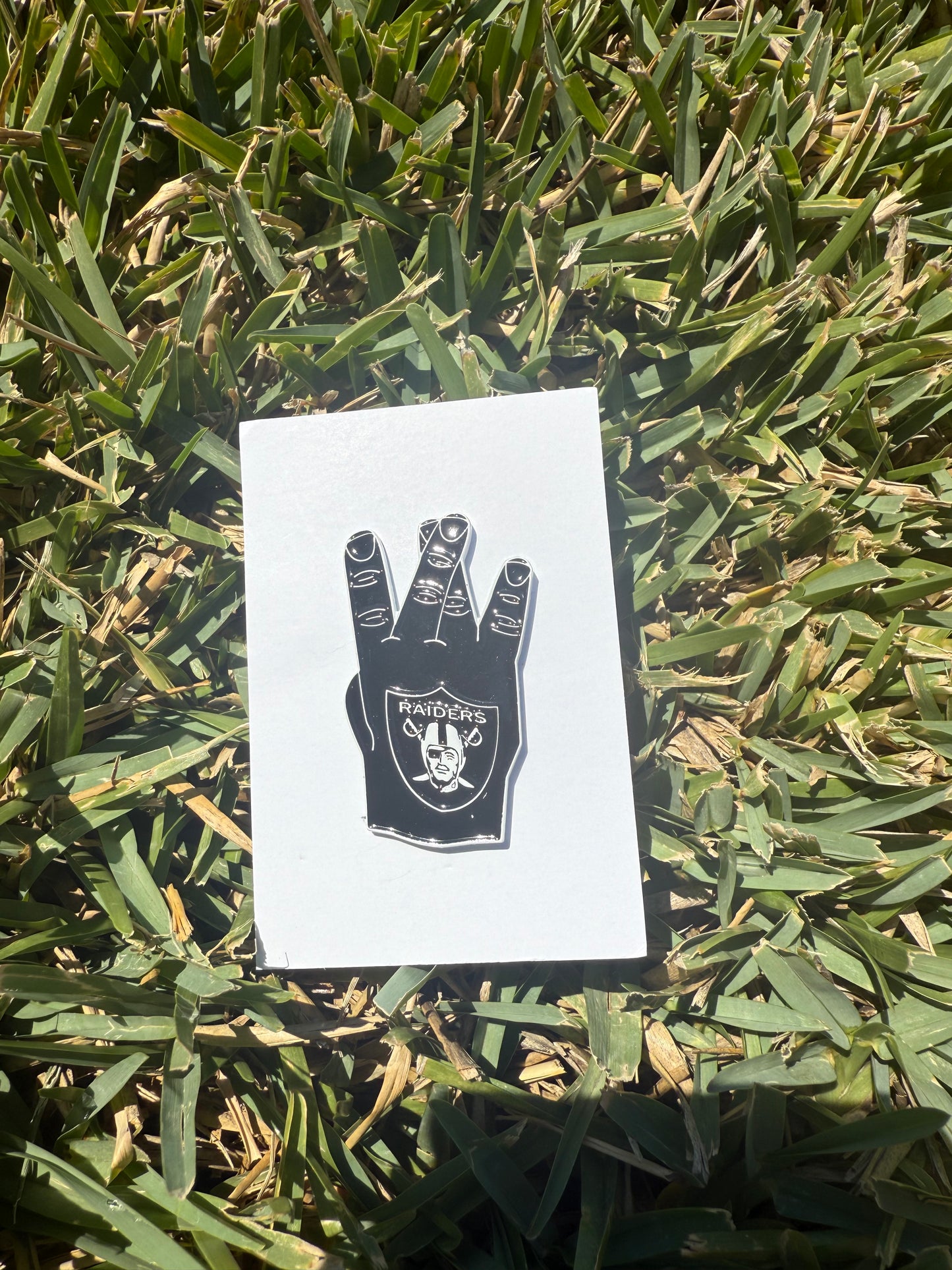 Sports Pin Collection