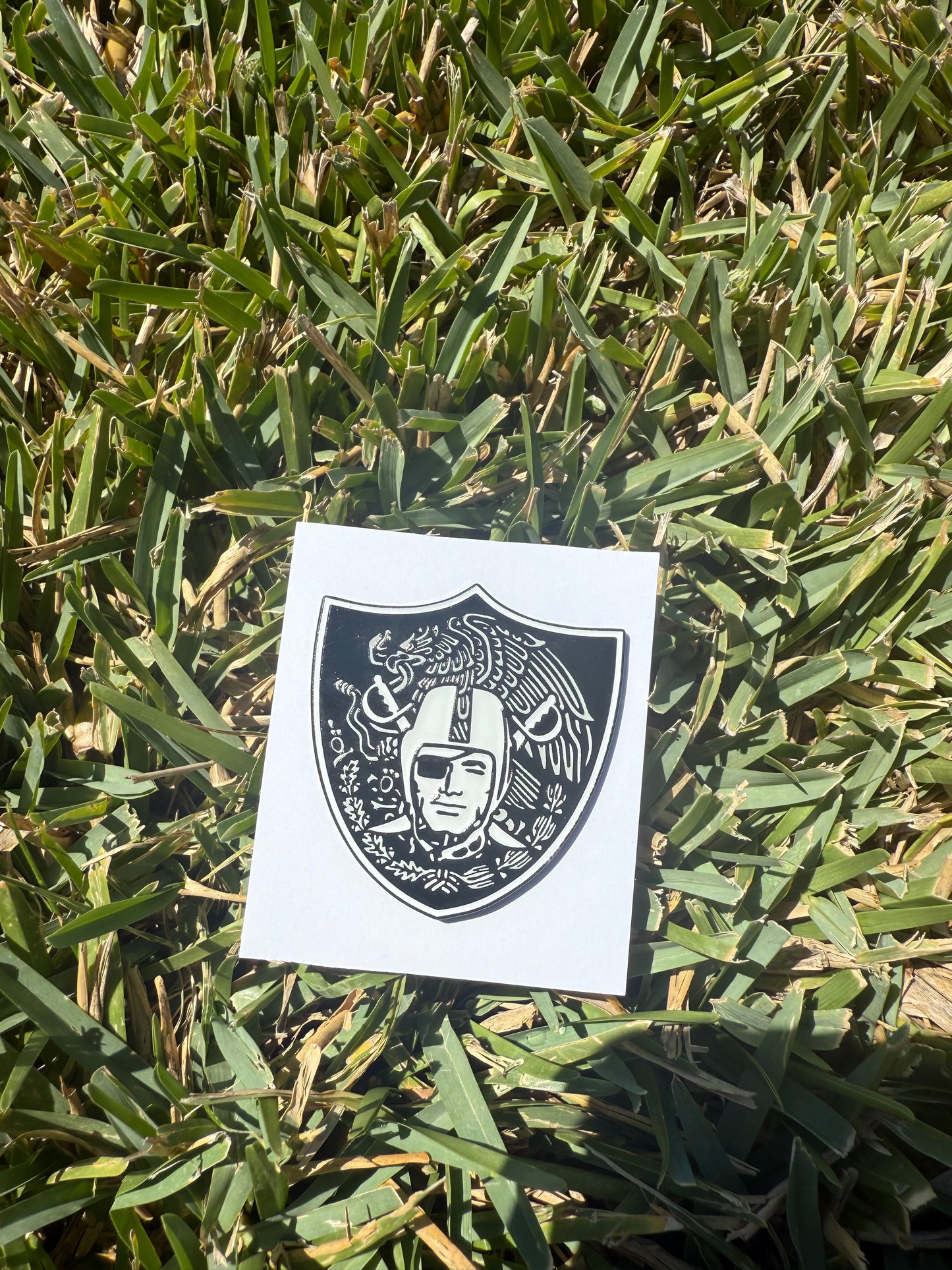 Sports Pin Collection