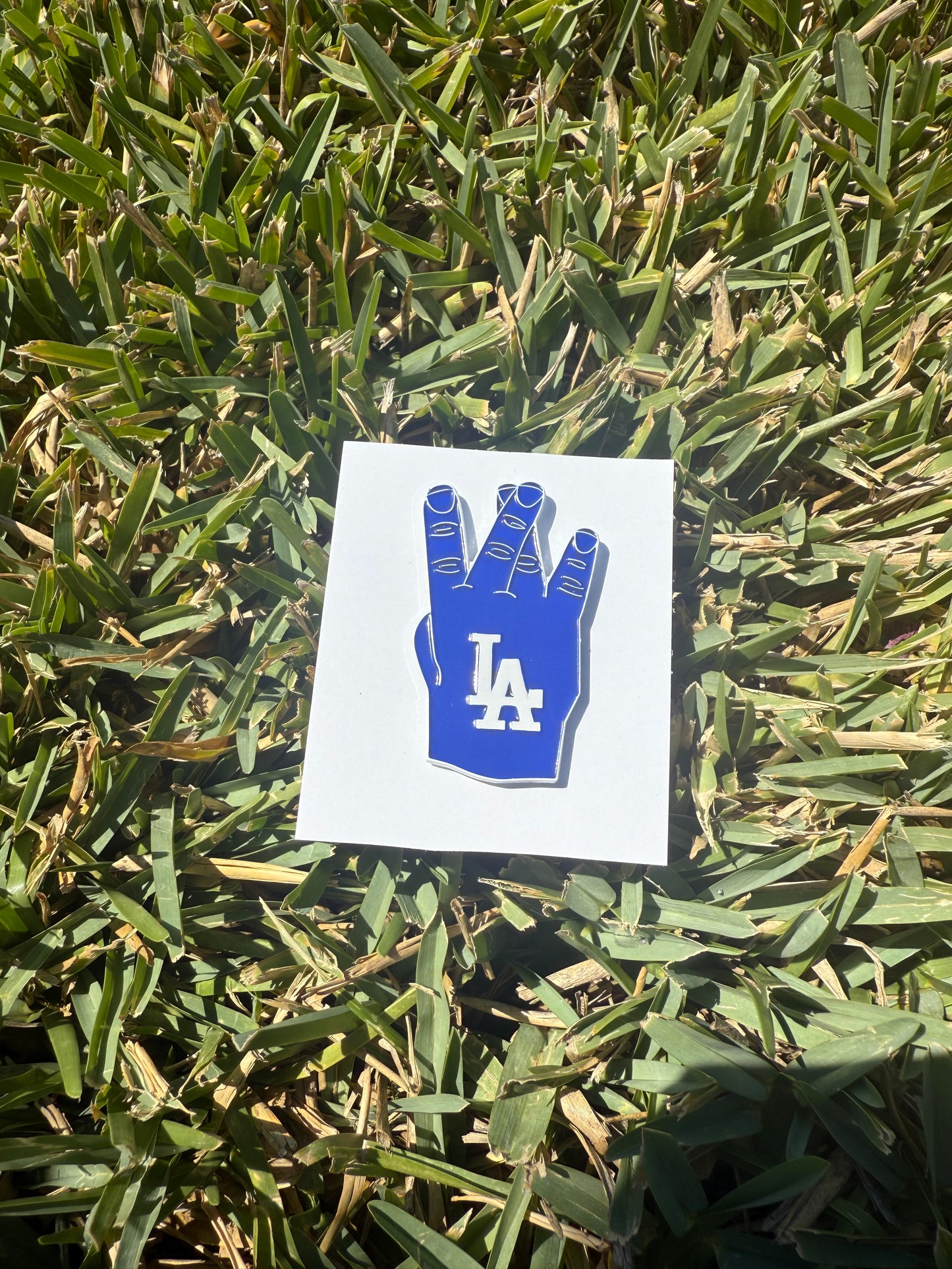 Sports Pin Collection