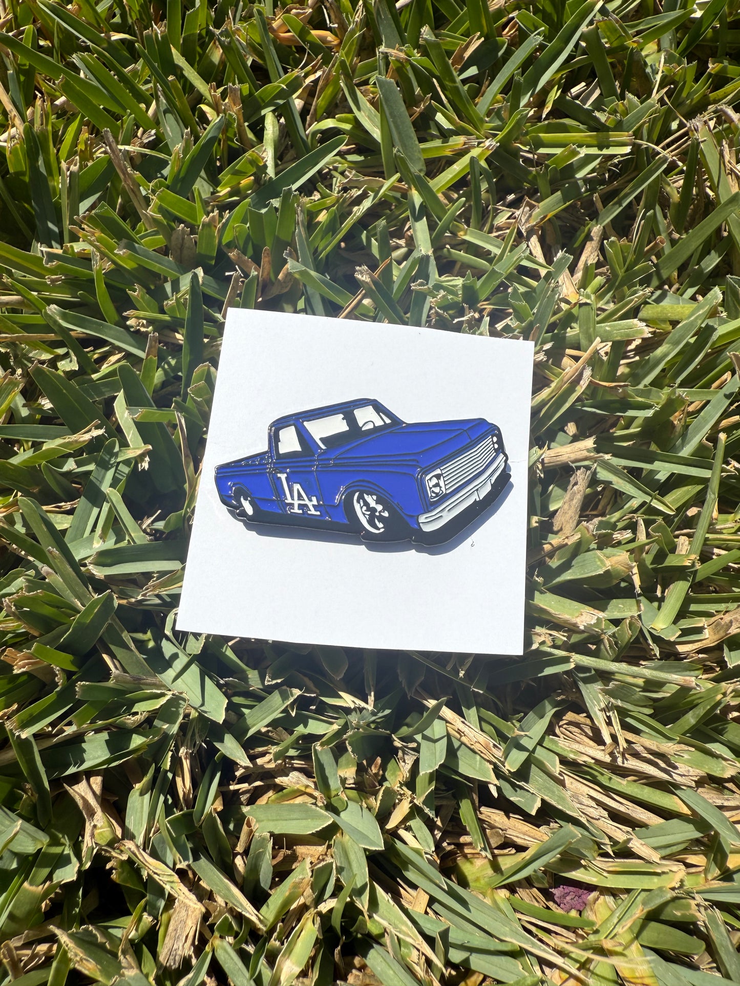 Sports Pin Collection