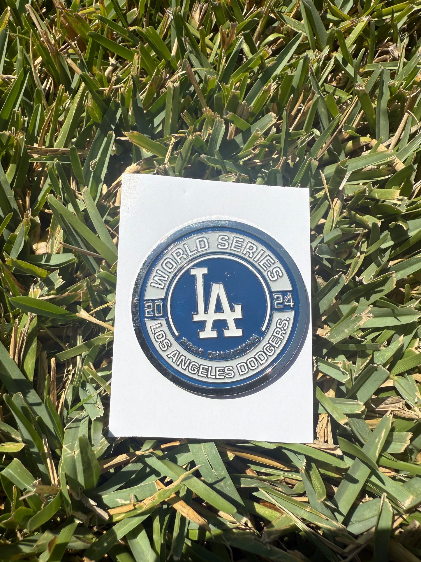 Sports Pin Collection